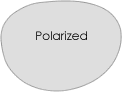 Polarized Prescription lens